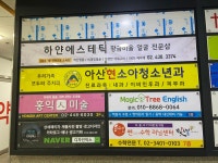 하얀에스테틱
