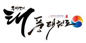 용인대태풍태권도