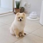 그룸앤먼치