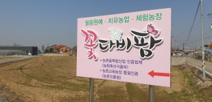 꽃다비팜