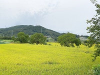 우즈그린팜