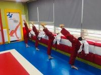 홍인수목토태권도