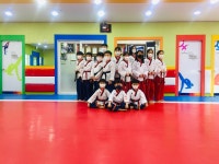 홍인수목토태권도