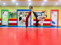 홍인수목토태권도