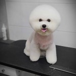 그루밍데이