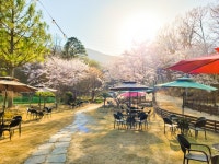 한옥카페 예이제448