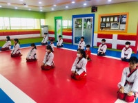 홍인수목토태권도