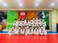 홍인수목토태권도