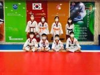 홍인수목토태권도