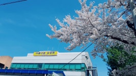 아름다운 요양원