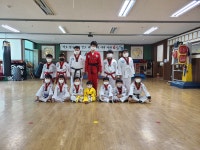 용인대최강태권도