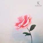 미쁘다아로마&플라워 | 미쁘다 플라워공예디자인협회