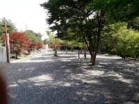 백년펜션&캠핑장