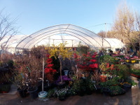 금란조경꽃식물원