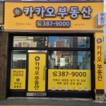 뉴카카오부동산