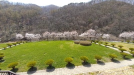 데미샘빌리지펜션