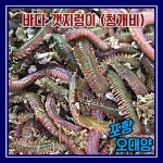 오대양낚시프라자