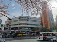 엔젤아이스크림 화명대림점