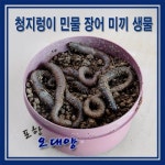 오대양낚시프라자