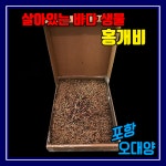 오대양낚시프라자