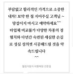엘림자동차외형복원