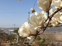 산드레조경농원