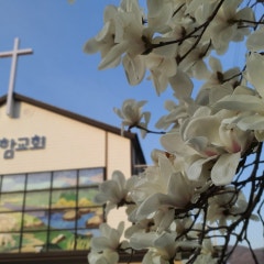 더함교회