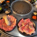 청춘뒷고기
