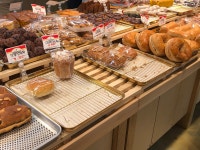 하니비베이커리 에코점