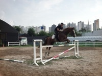 교하스카이승마장