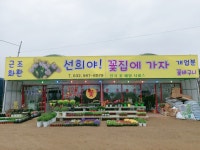 선희야꽃집에가자