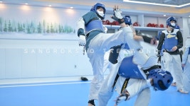 상록수태권도