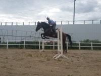 교하스카이승마장