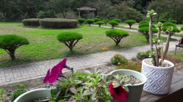 데미샘빌리지펜션