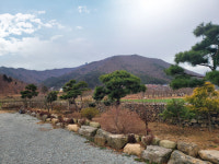 돌담마루
