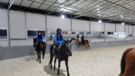 교하스카이승마장