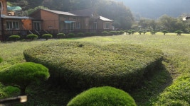 데미샘빌리지펜션