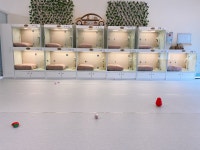 애견호텔 나무야 충주