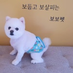 보보펫