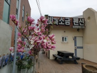 빛과소금펜션