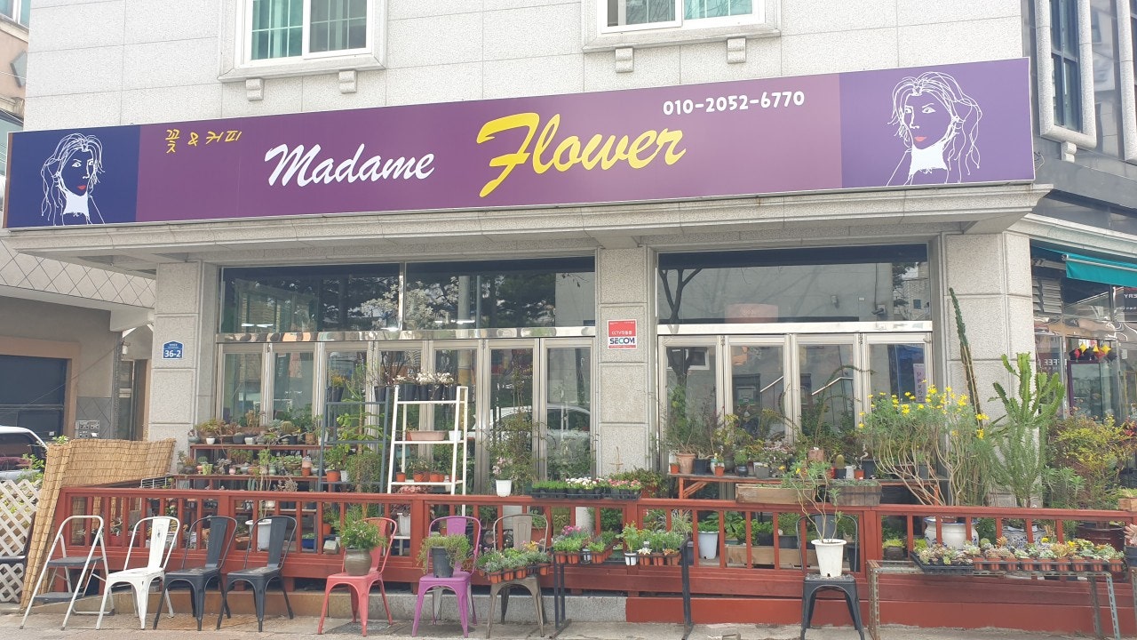 마담 플라워