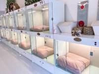 애견호텔 나무야 충주