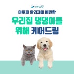 케어드림
