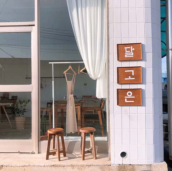 달고은 사진