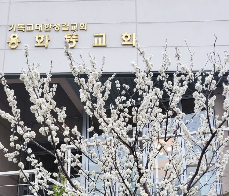 용화동교회 사진 3