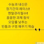 미사아이비영어