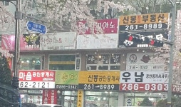 우남공인중개사무소