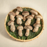 햇담농업회사법인