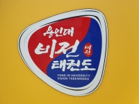 용인대 비전 태권도장