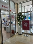 메타약국